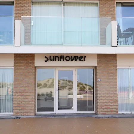 In With Terrace Nieuwpoort