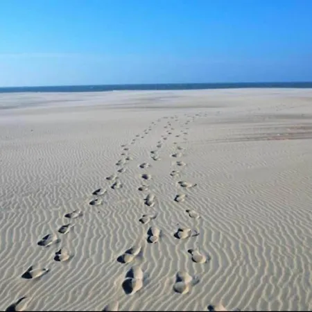 In With Terrace Appartamento