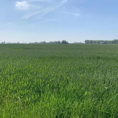 In With Terrace Apartamento