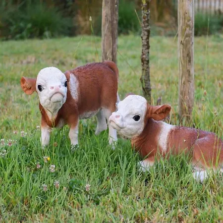 Appartamento In With Terrace Nieuwpoort