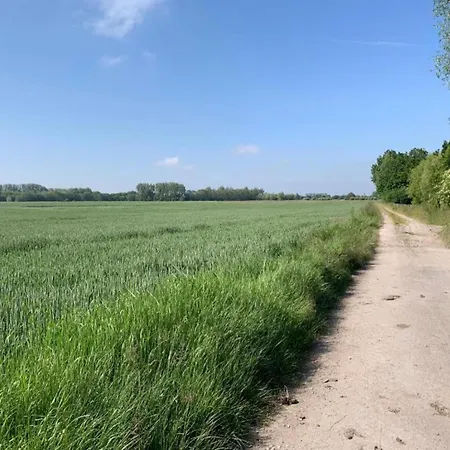 Appartamento In With Terrace Nieuwpoort